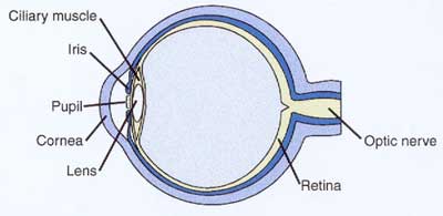 Vision 101 Vision 101
